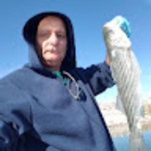 Meet your Posher, Angel